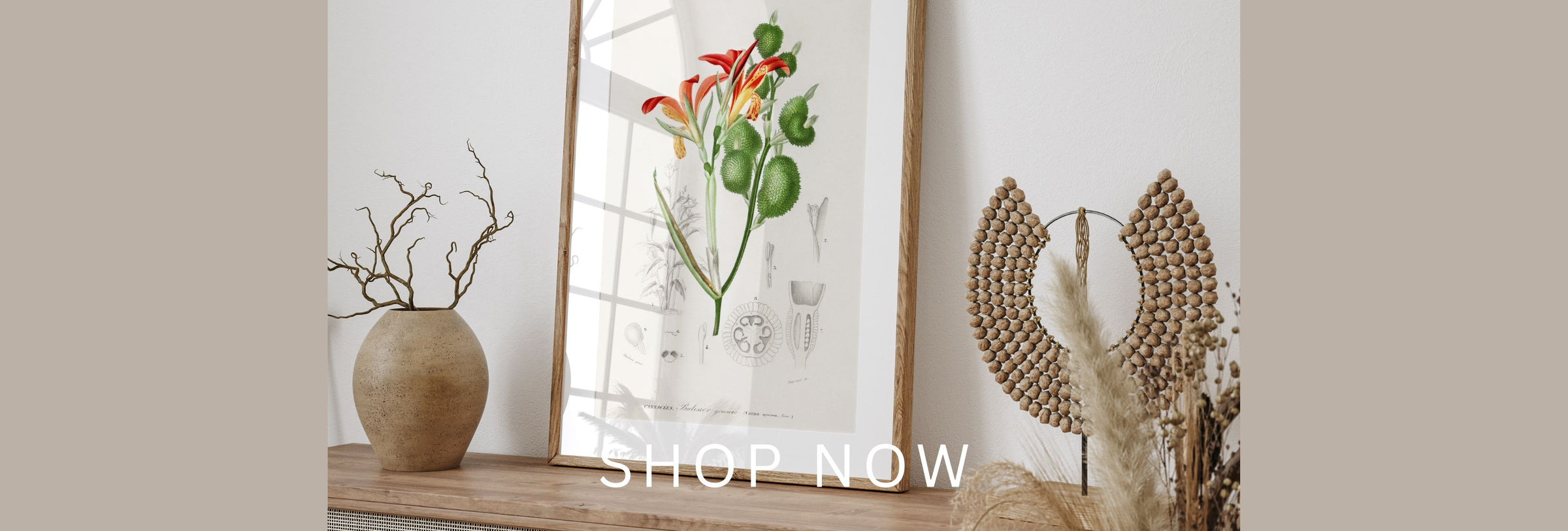 Vintage Flower & Succulent Wall Art Prints