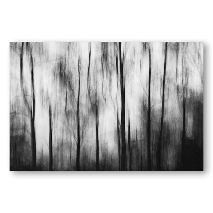 Mystic Forest Ambience Art Print