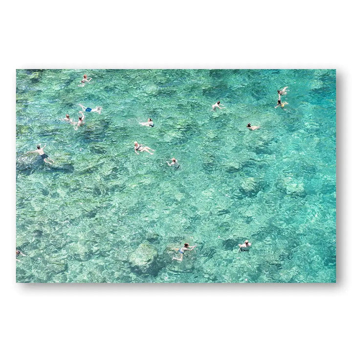 Azure Swimmers Photography Print