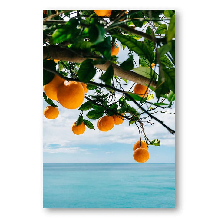 Amalfi Coast Oranges IV Art Print