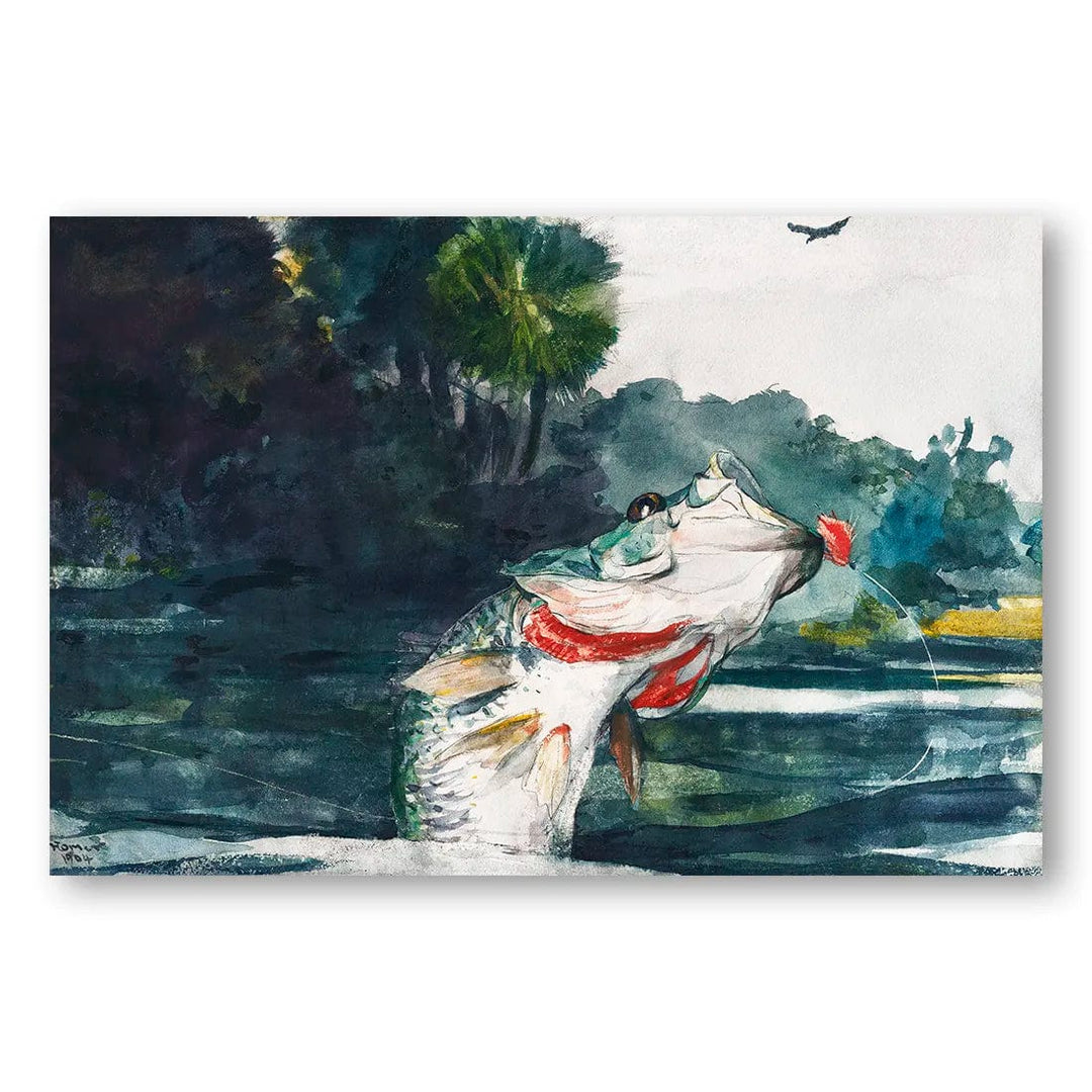 Black Bass by Winslow Homer Vintage Fish Art Print