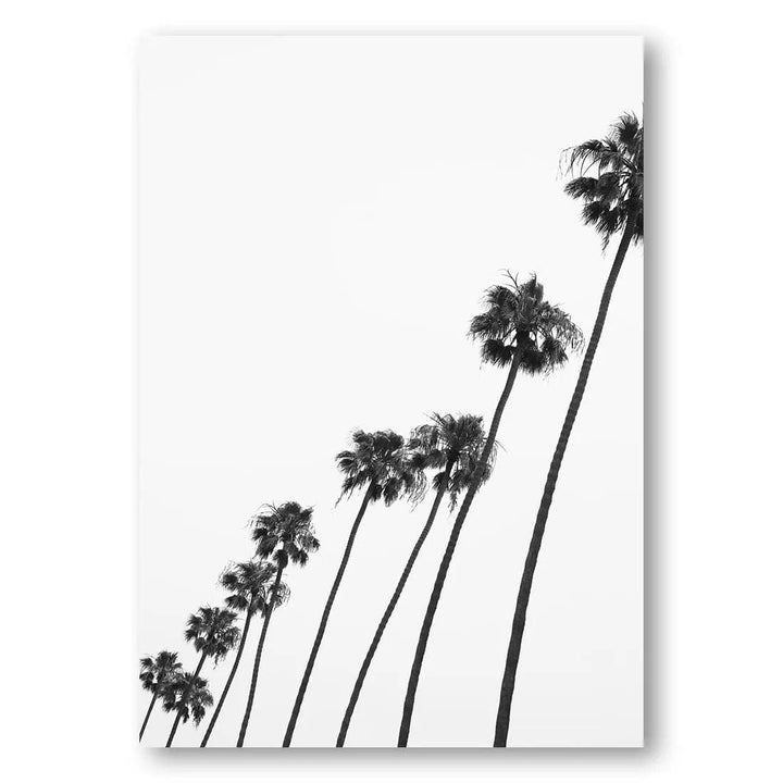 Palm Trees Ascending Photo Print