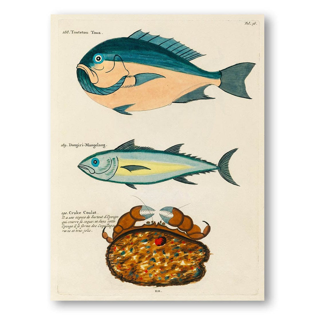 Colourful and Surreal Fishes and Crab by Louis Renard Art Print