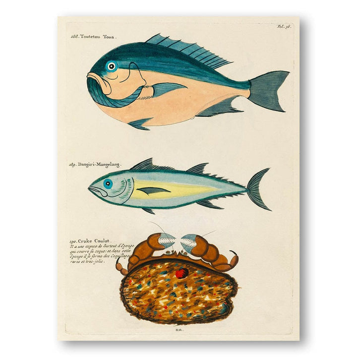 Colourful and Surreal Fishes and Crab by Louis Renard Art Print