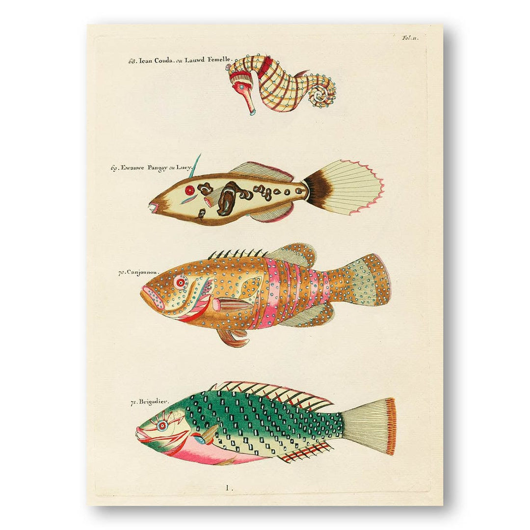 Colourful and Surreal Illustrations of Fishes and Seahorse of the Moluccas and East Indies Art Print