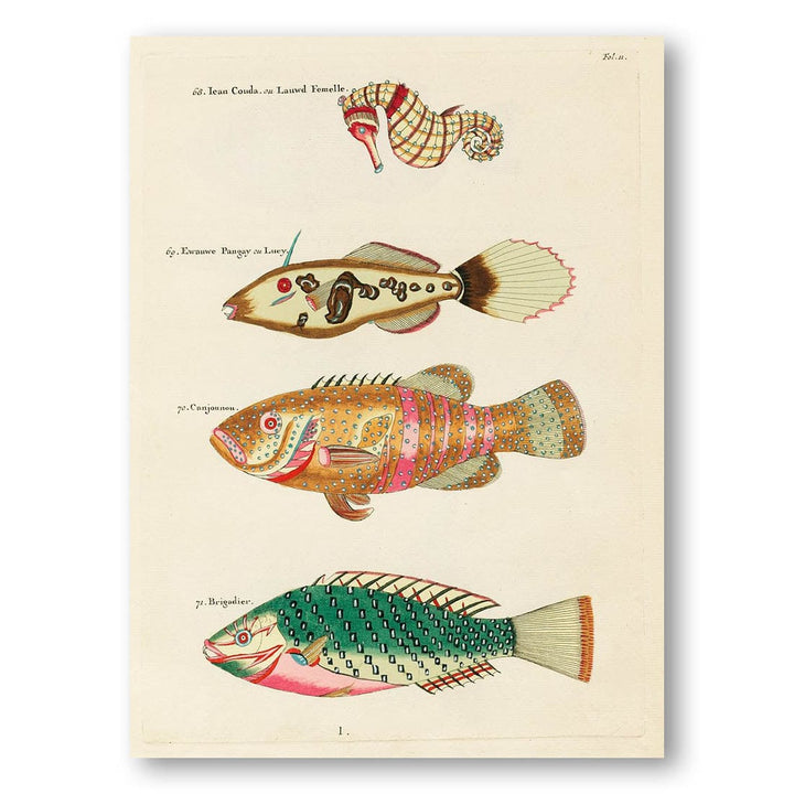 Colourful and Surreal Illustrations of Fishes and Seahorse of the Moluccas and East Indies Art Print