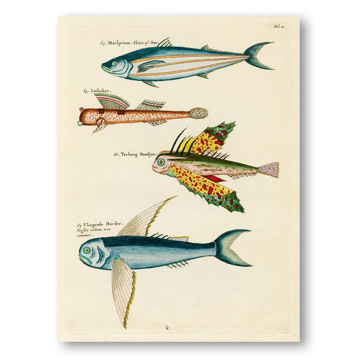 Colourful and Surreal Illustrations of Fishes from the East Indies by Louis Renard Art Print