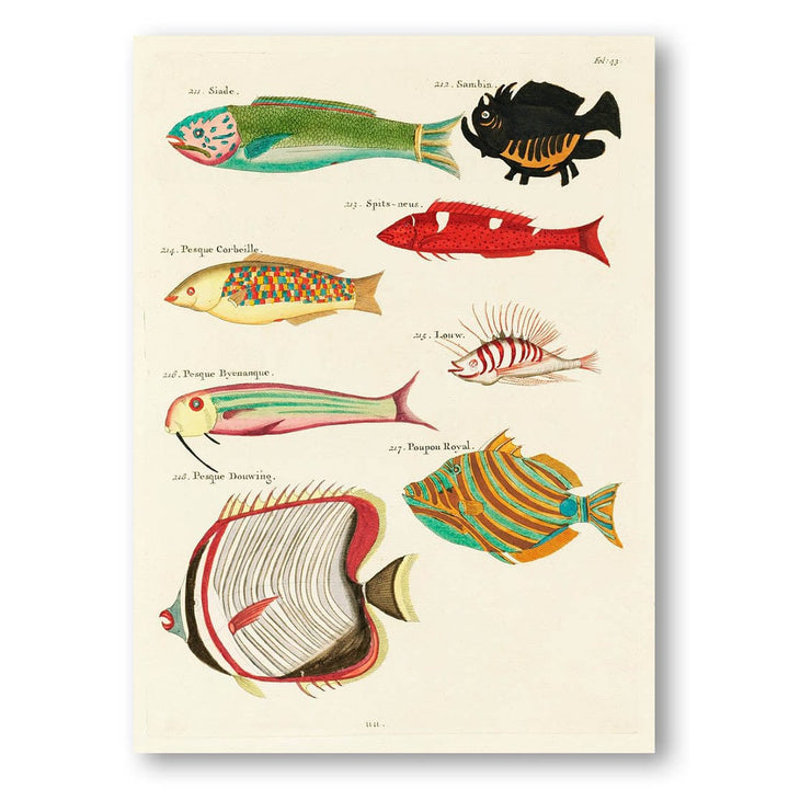Colourful and surreal illustrations of fishes found in Moluccas and the East Indies by Louis Renard Art Print