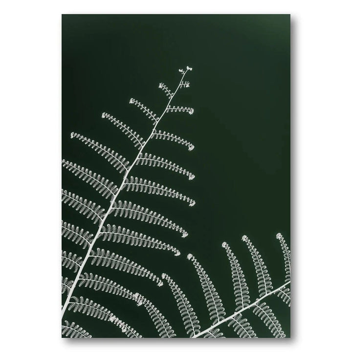 Emerald Whispering Fern Art Print