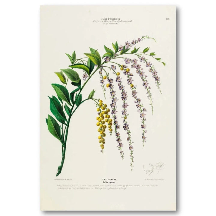 Golden Dewdrops Art Print