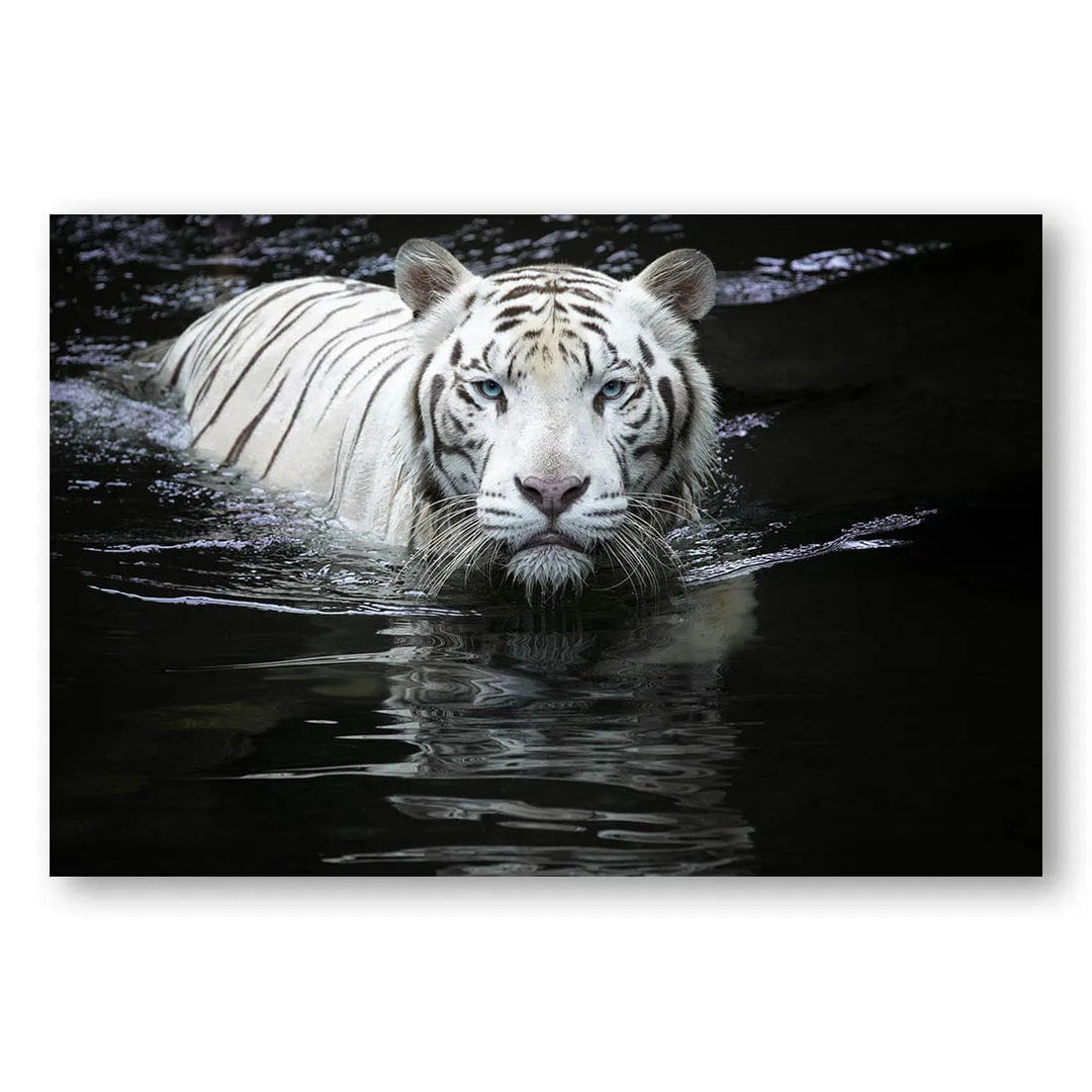 Tiger Stare Majesty Photo Print