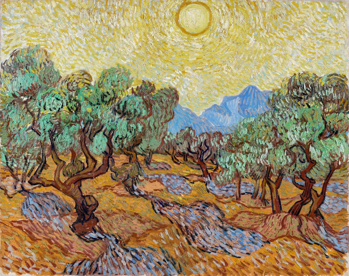 Olive Trees by Vincent Van Gogh Art Print