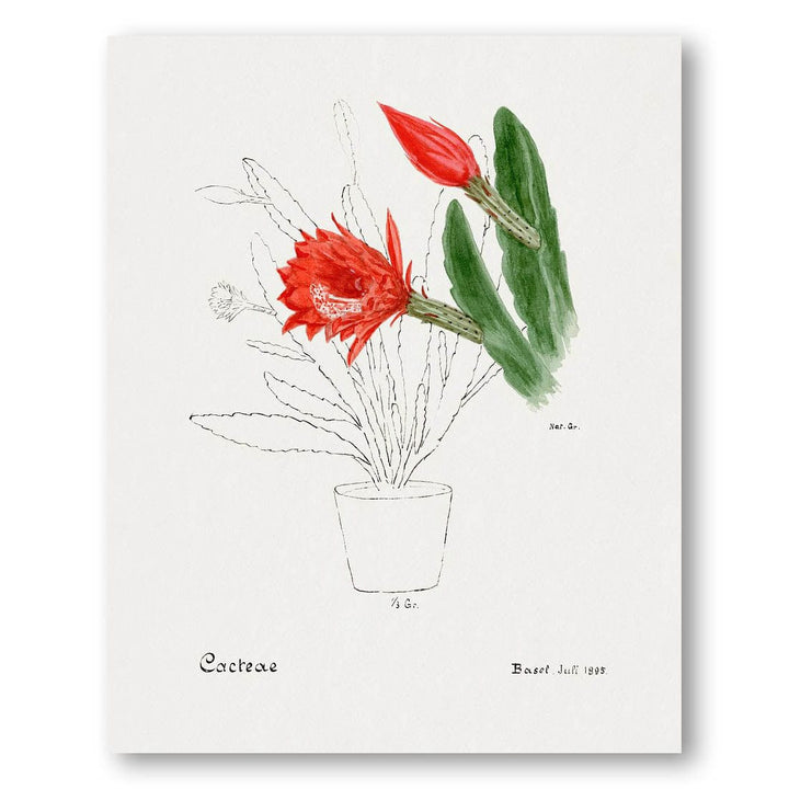 Orchid Cactus by Familie Der Cacteen Art Print