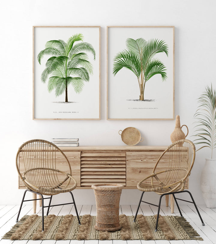 Pair of Vintage Palm Art Prints 5