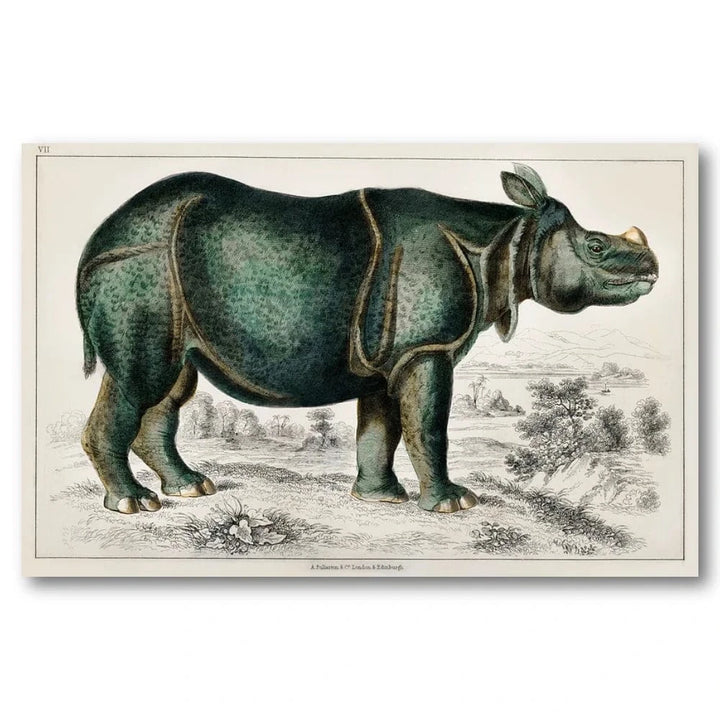 Rhinoceros by Oliver Art Print