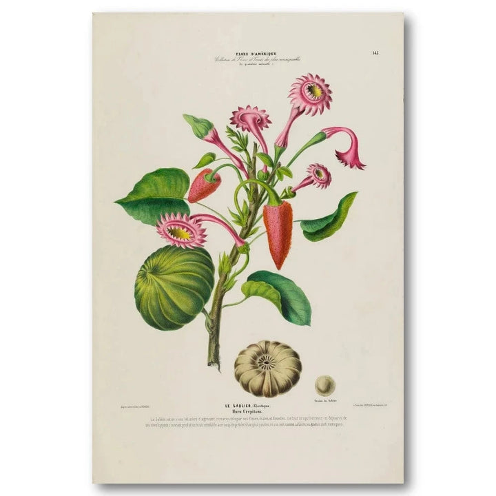 Sandbox Tree Art Print