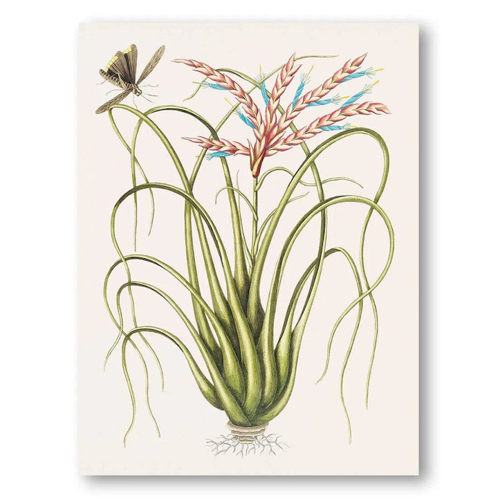 Botanical Elegance with Dragonfly Vintage Art Print