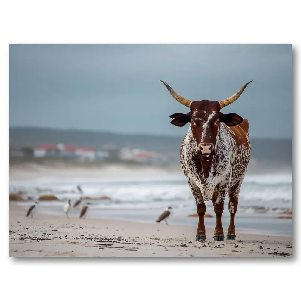 Nguni Cattle Coastal Serenity Art Print