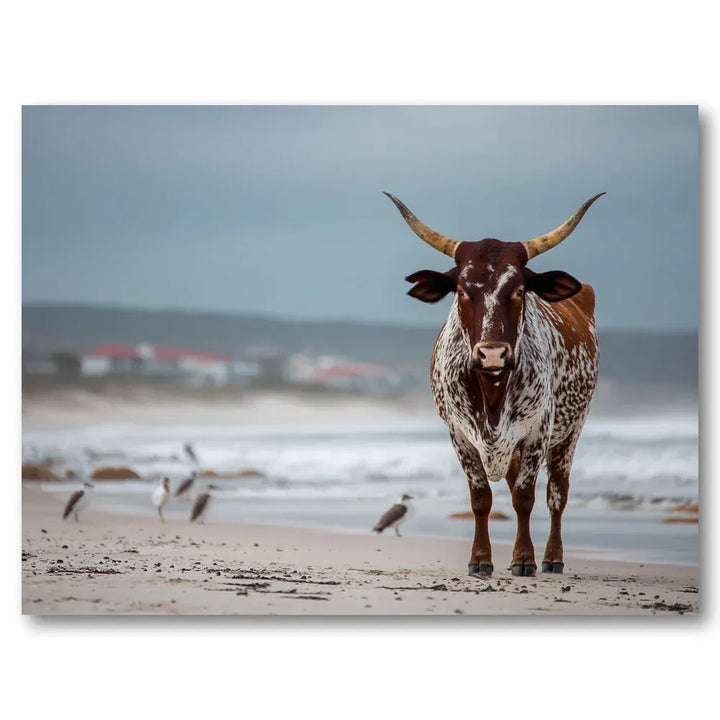 Nguni Cattle Coastal Serenity Art Print