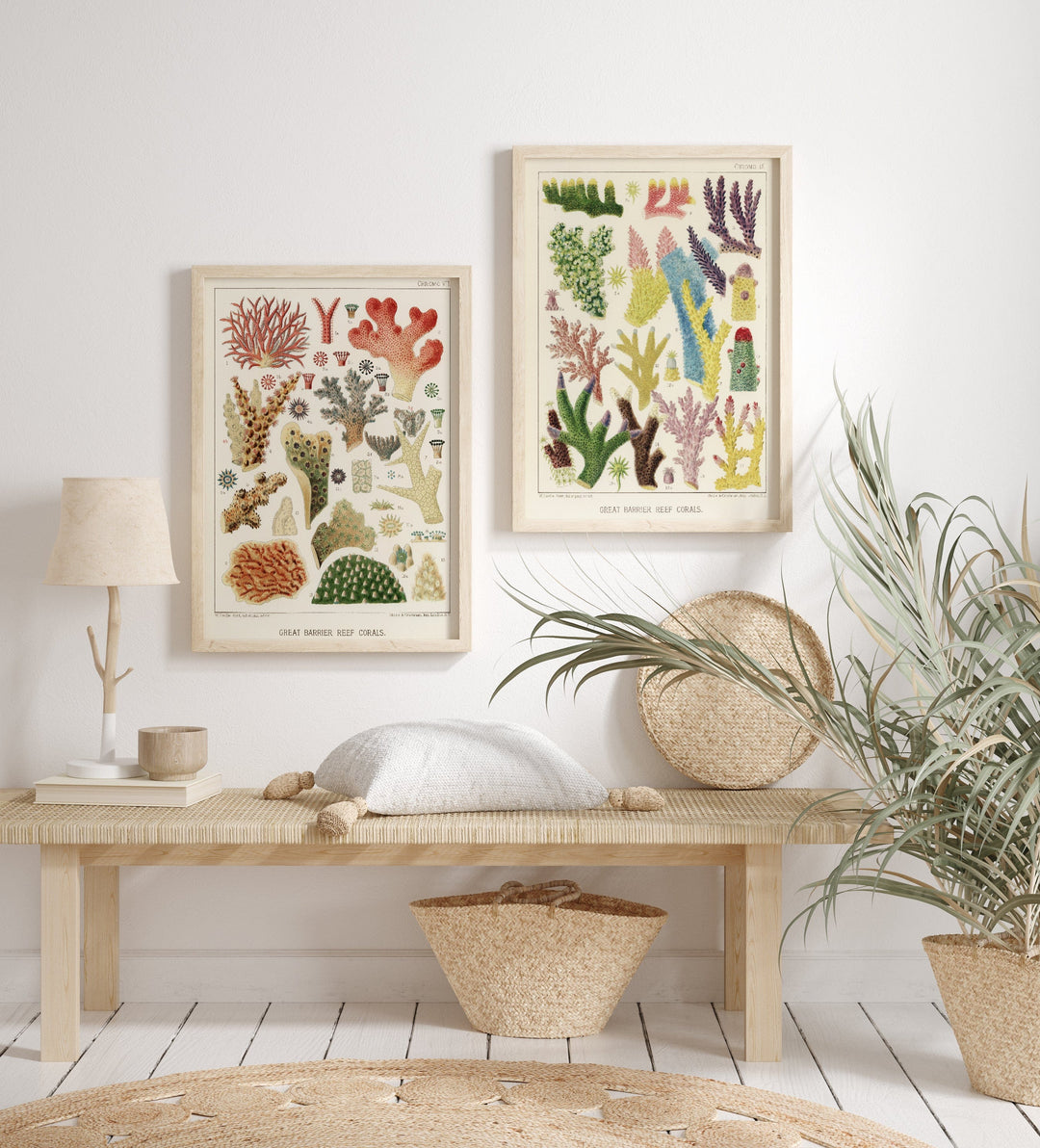 Great Barrier Reef Corals Art Print Pair