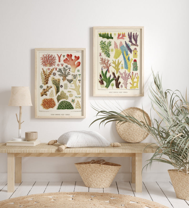 Great Barrier Reef Corals Art Print Pair