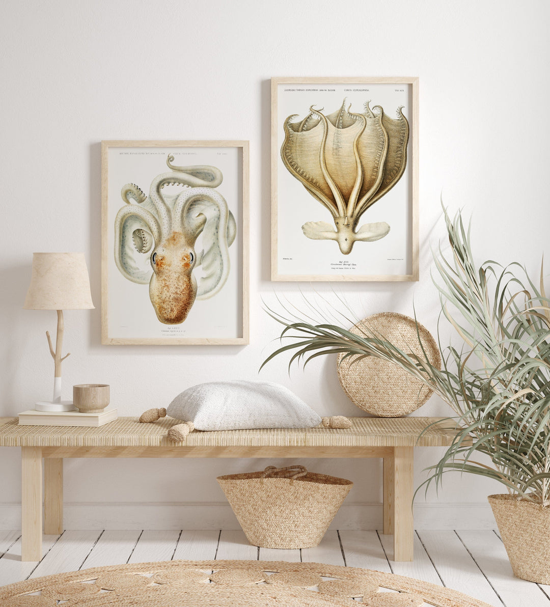 Octopus Art Print Pair 1