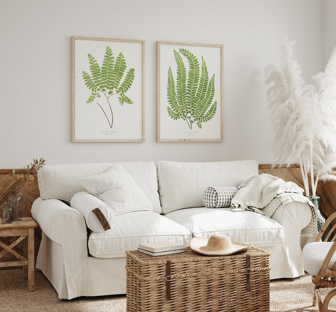 Pair of Fern Botanical Art Prints 1