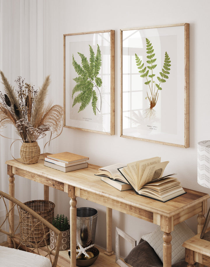 Pair of Fern Botanical Art Prints 2