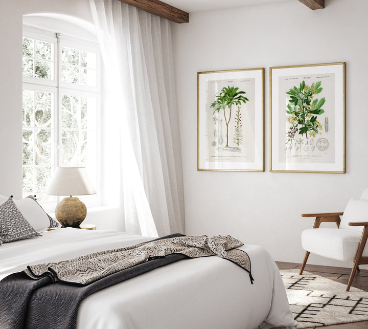 Ribes Aureum & Dracaena Brasiliensis Art Print Pair