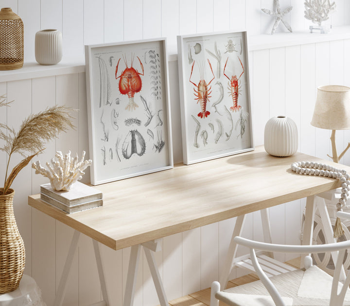 Crustacean Illustrations Wall Art Prints (Set of 2)