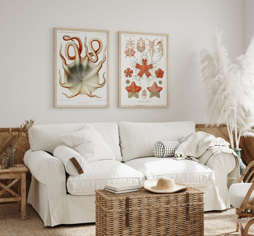 Starfish & Octopus Art Print Pair