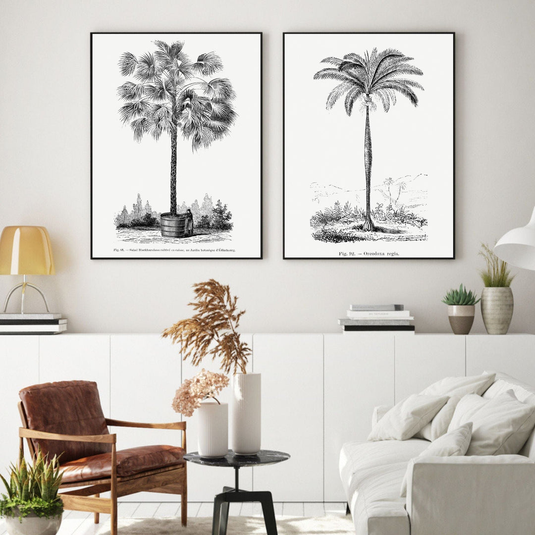 Vintage Black & White Palm Art Prints Pair