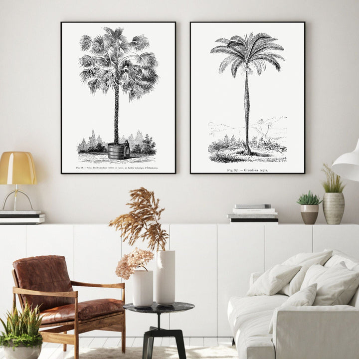 Vintage Black & White Palm Art Prints Pair