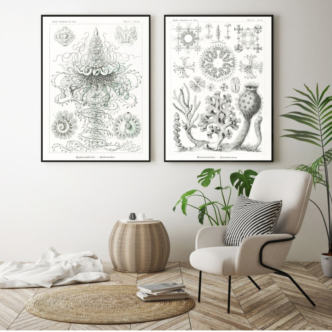 Pair of Black & White Sealife Art Prints