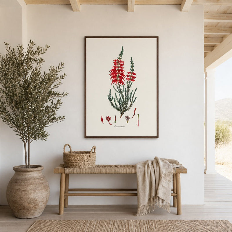 Red Erica monadelpha fynbos print in a dark frame above a woven bench and olive tree on a whitewashed verandah, with Karoo hills beyond
