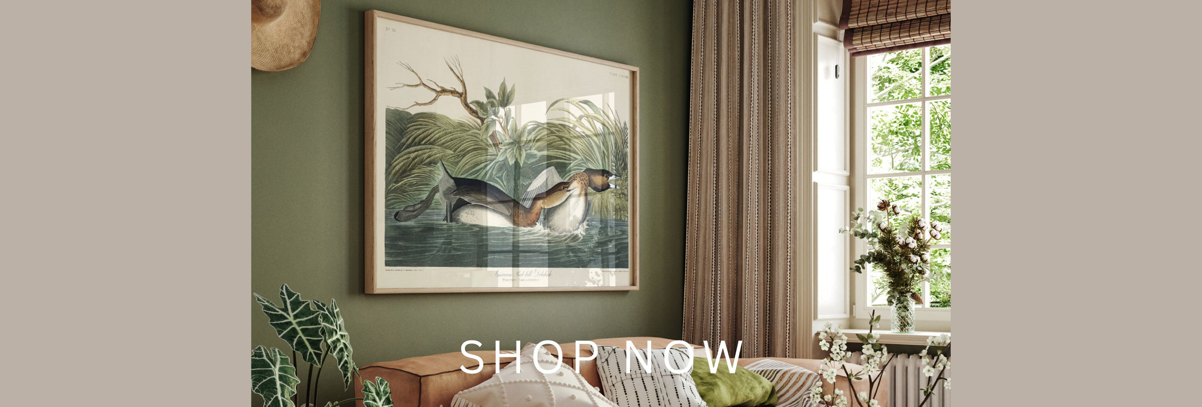 John James Audubon Wall Art Prints