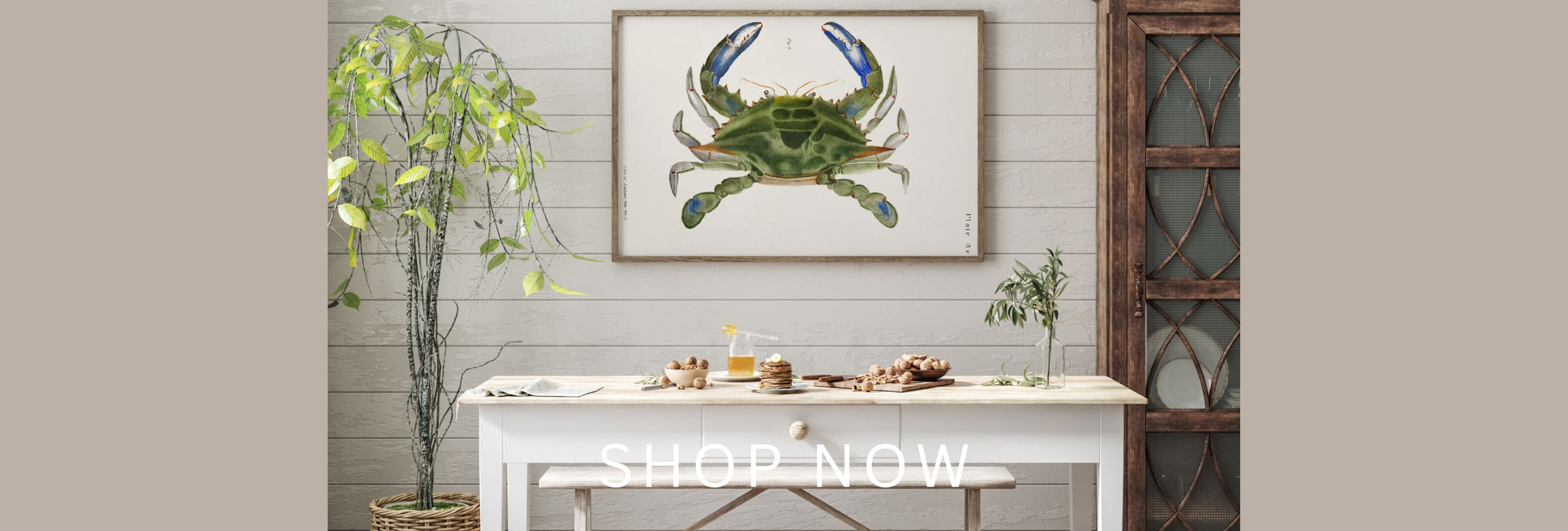 Vintage Sea Creature Wall Art Prints