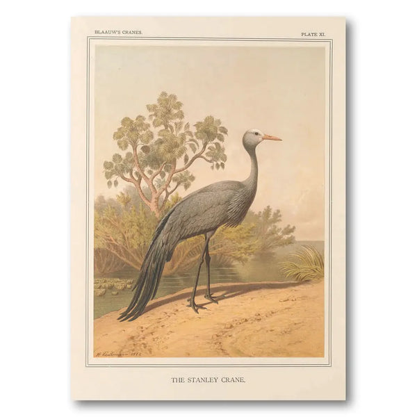 Stanley Crane by Leutemann Art Print