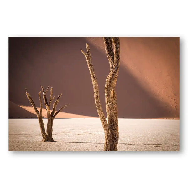 Desert Solitude Photography Art Print