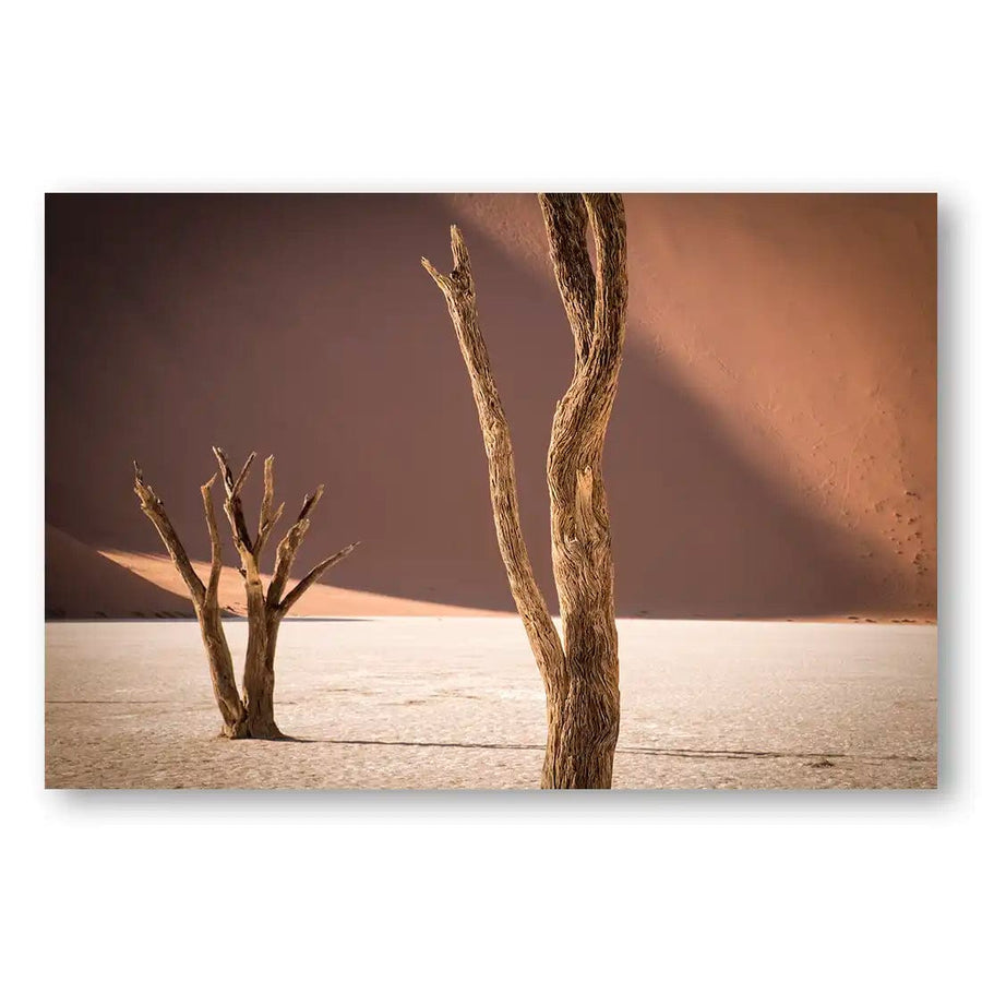 Desert Solitude Photography Art Print