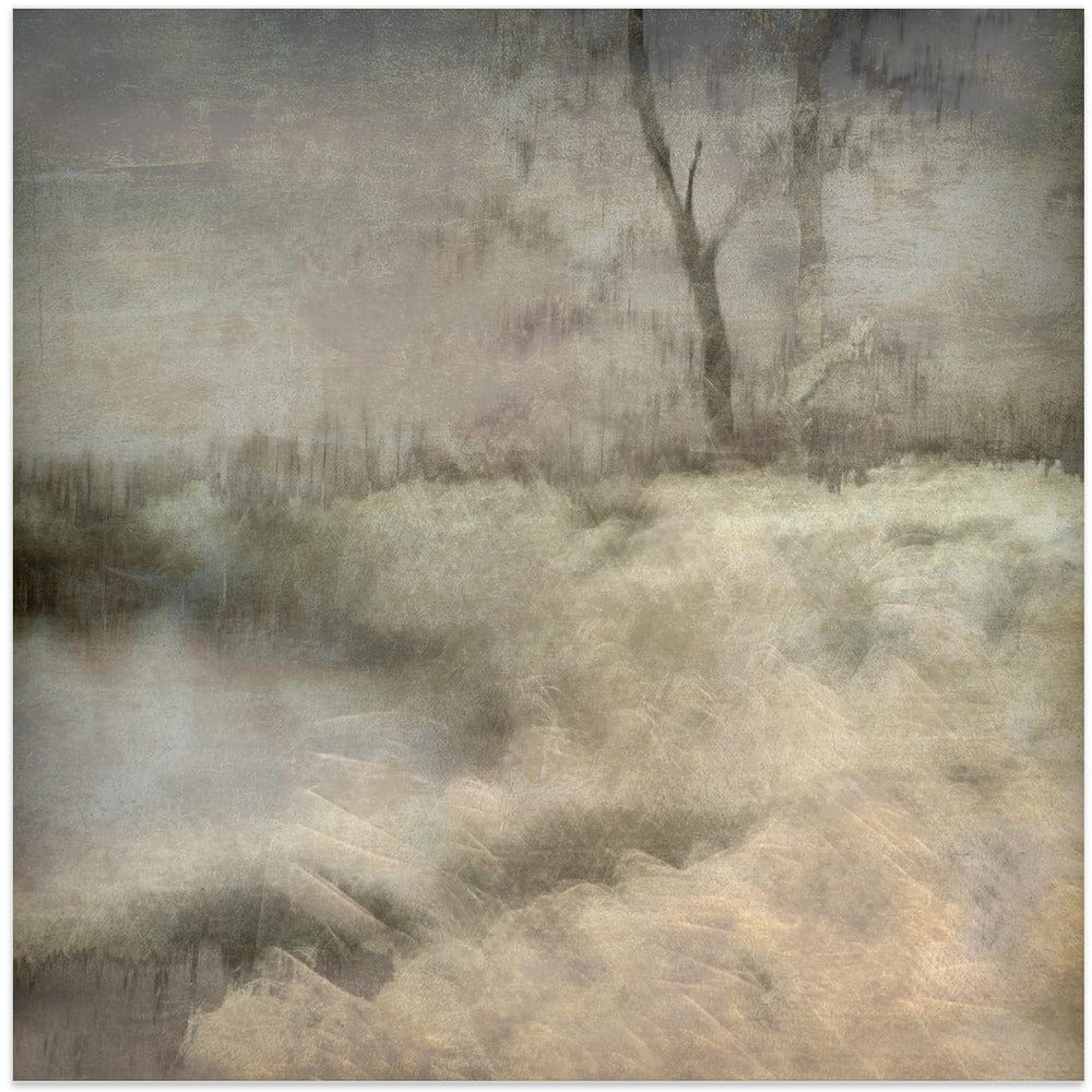 Little Foggy Pond Mounted Canvas