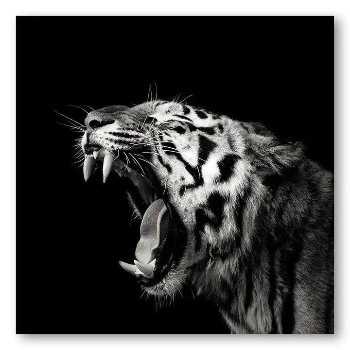 Monochrome Majesty Tiger Print