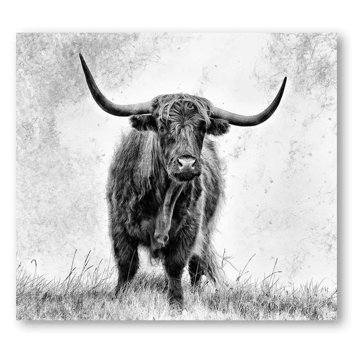 Highland Sovereign Art Print