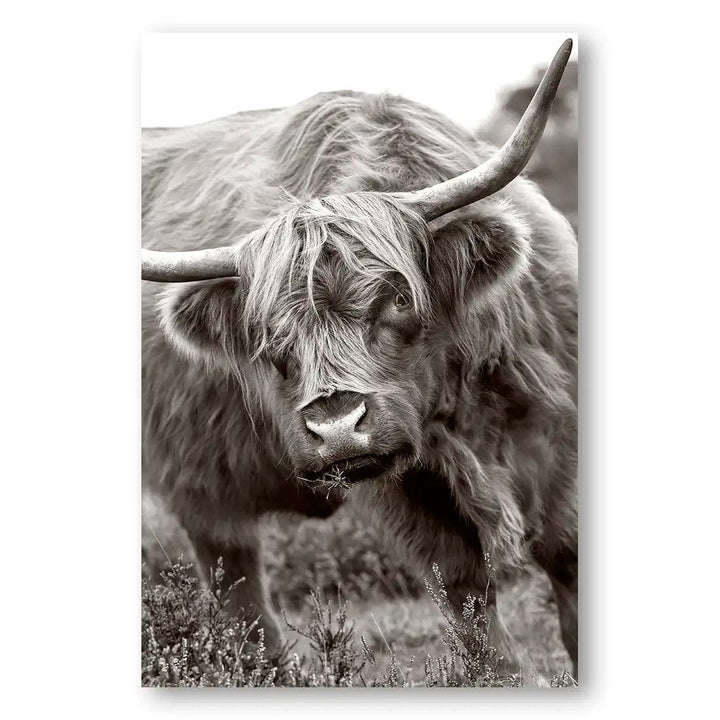 Highland Majesty Wall Art Print