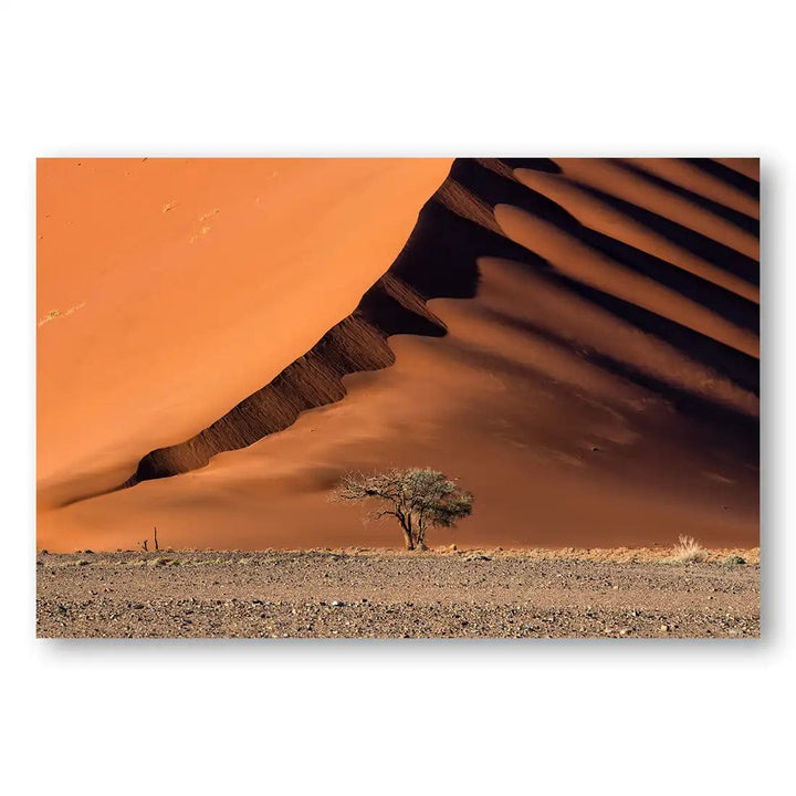 The Dune and the Tree Photo Print