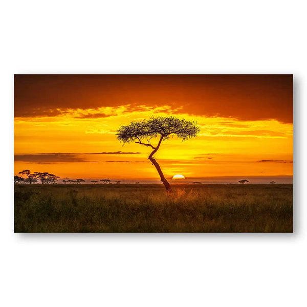 Primordial Africa Photo Print