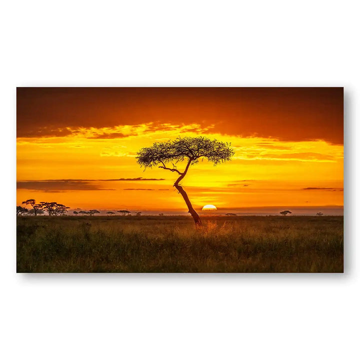 Primordial Africa Photo Print