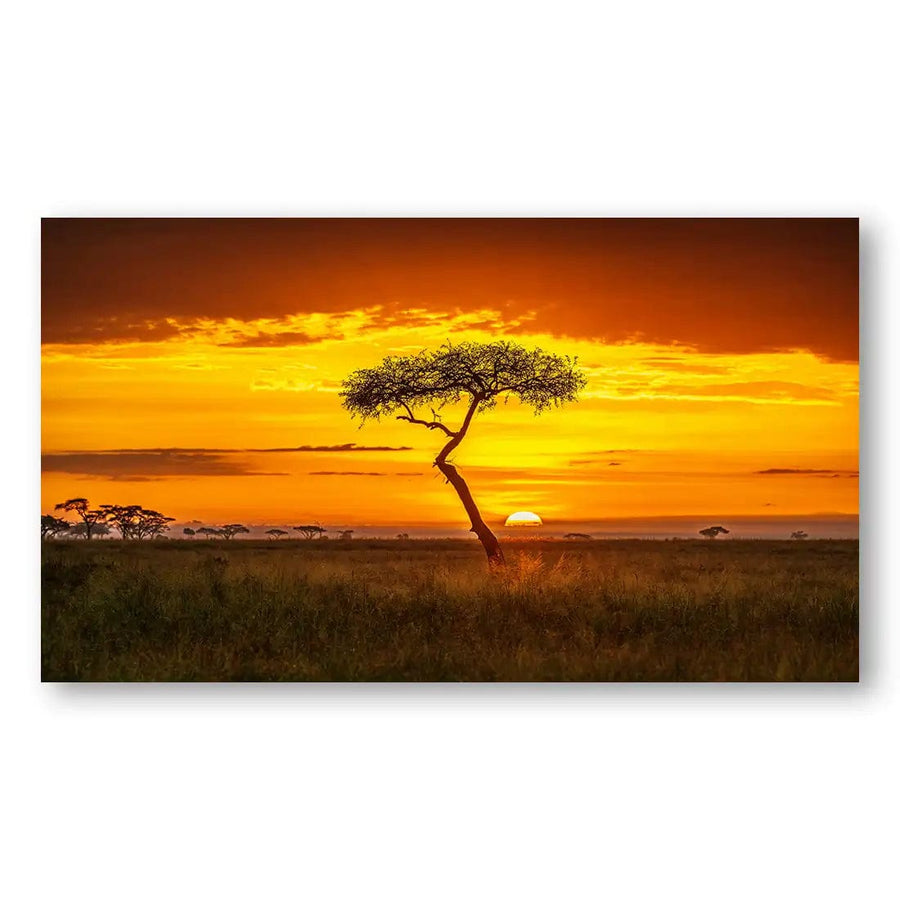 Primordial Africa Photo Print