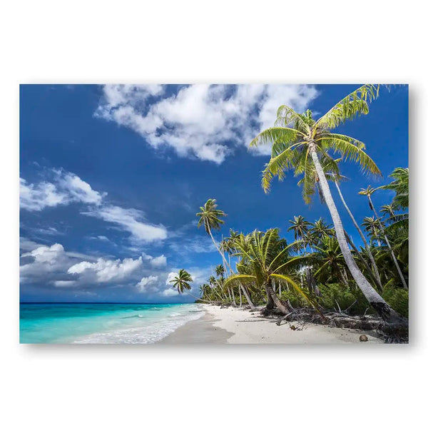 Tropical Serenity Turquoise Waters White Sand Shore Beach Print