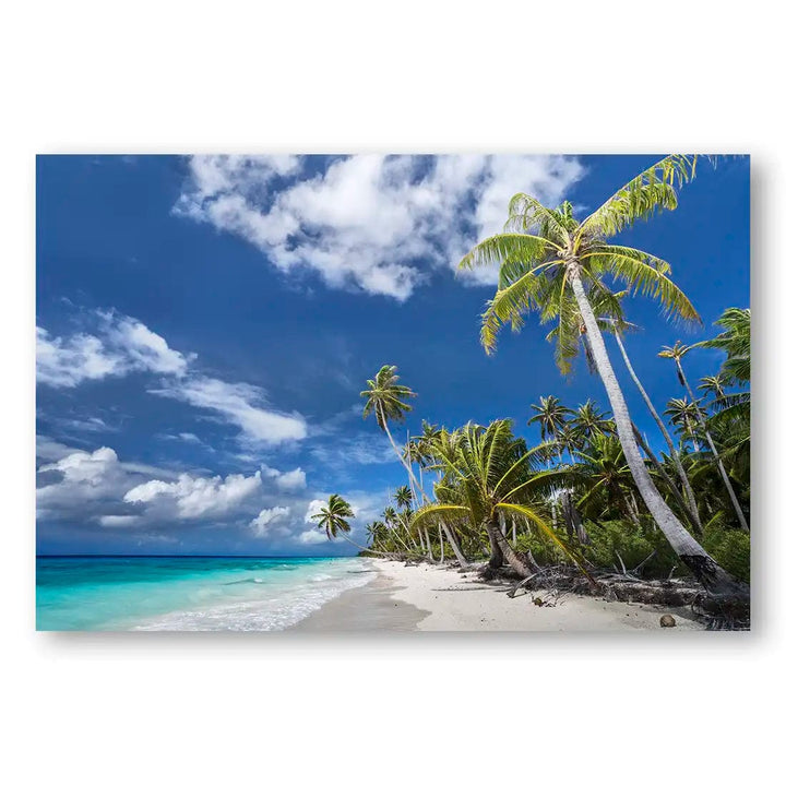 Tropical Serenity Beach Print